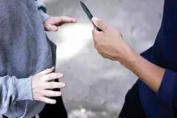 ترس از زورگیری و احساس ناامنی روانی