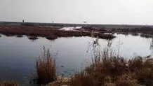 آرسنیک در تالاب بندعلیخان مشاهده نشد 