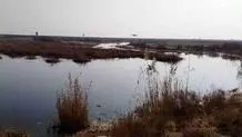 احیای تالاب بندعلیخان در دستور کار است