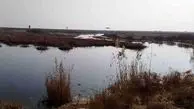 آرسنیک در تالاب بندعلیخان مشاهده نشد 