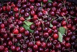 هر کیلو‌ گیلاس یک میلیون/ عکس