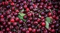 هر کیلو‌ گیلاس یک میلیون/ عکس