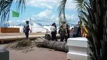 حمله به اما استون در جشنواره کن 