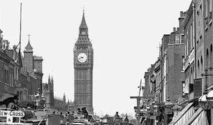 باربارا کامینز؛ عدالت و برابری

