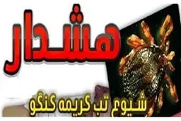 جدیدترین آمار ابتلا و فوت ناشی از تب کریمه کنگو