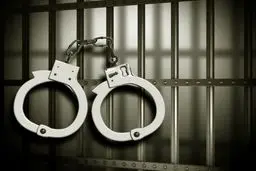 یکی از عاملین موساد در پایتخت دستگیر شد