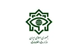 اطلاعیه دوم وزارت اطلاعات درباره حادثه شاهچراغ
