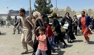 همه چیز زیر سایه نابرابری