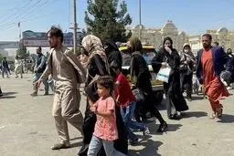 همه چیز زیر سایه نابرابری