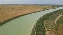 تالاب حله بوشهر جان گرفت