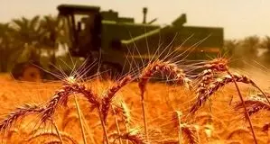 پیش بینی هوای گلستان فردا 14 اردیبهشت 1405/ بارش‌های پراکنده در ارتفاعات