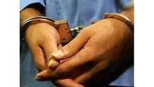 دو برادر به اتهام شروع به قتل خواهر محاکمه می شوند