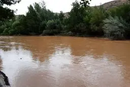 علت گل آلود شدن زاینده‌رود اعلام شد
