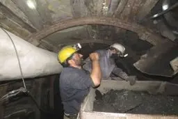 صدور ۱۷۱ ابلاغیه ایمنی برای معادن زغال‌سنگ استان کرمان 