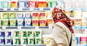 جز گاوها هیچ‌کس مقصر نیست

