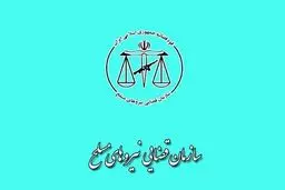 دستور بررسی ویژه تصاویر منتشر شده از برخورد نامناسب با یک خانم