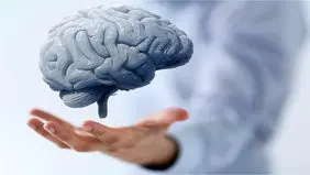 سلامت مغز را با این خوردنی‌ها حفظ کنید
