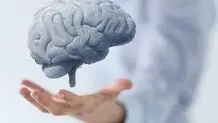 سلامت مغز را با این خوردنی‌ها حفظ کنید
