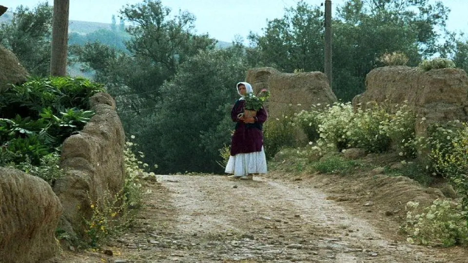 افتتاح جشنواره جهانی فیلم فجر با نمایش فیلمی از عباس کیارستمی