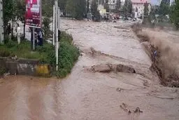 ۳ جسد دیگر در رودخانه کن کشف شد