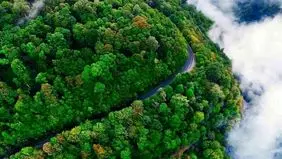 ممنوعیت تردد در جنگل های سوادکوه