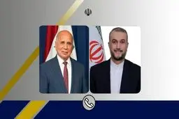 درخواست وزرای خارجه ایران و عراق برای نشست اضطراری سازمان همکاری اسلامی درباره تحولات جاری فلسطین

