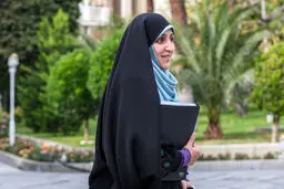 بهروزآذر: بررسی لایحه حمایت از  زنان در مجلس شورای اسلامی آغاز شده است

