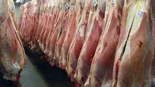 قیمت گوشت قرمز امروز چهارشنبه ۱۵ مهر ۱۴۰۵/ گوشت گوسفندی و گوساله کیلویی چند؟ + جدول