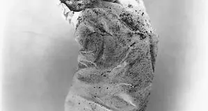 پستونشینان لب‌خط