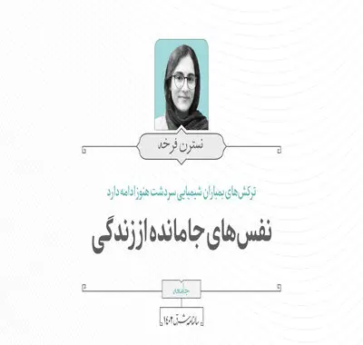 نفسهای جامانده از زندگی