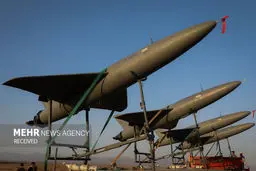 Iran Army to continue to expand drone achievements: Sayyari