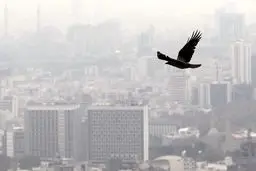 هوای پایتخت «نارنجی» شد