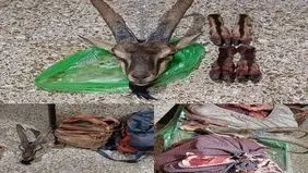 محیط بانان دهگلان هدف شکارچیان غیرمجازشدند