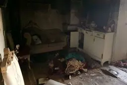آتش سوزی مجتمع مسکونی در مشیریه/ ۹ نفر نجات داده شدند + ویدئو و عکس