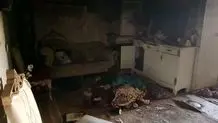 جزئیات آتش سوزی در بازار رضا کرج اعلام شد