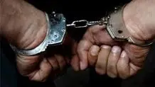 فرمانده انتظامی تهران در کنار سارقان و زورگیران دستگیر شده/ ویدیو