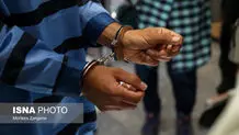 شکارچی فضای مجازی دستگیر شد 