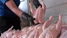 کشتار مرغ‌ها برای فرار از ضرر
