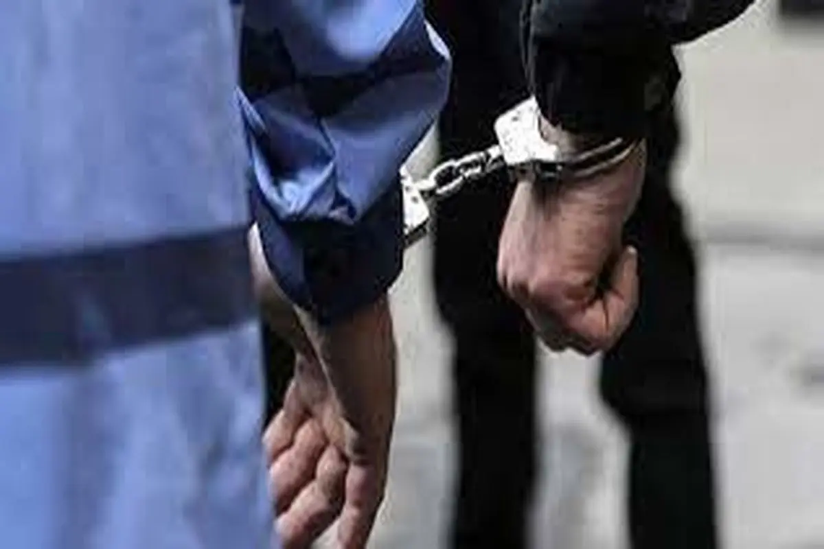ایرنا خبر داد: بازداشت یک متهم در قرچک
