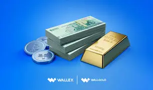 والکس و وال‌گلد مجموعا ۲۰۰ میلیون تومان اعتبار فوری می‌دهند