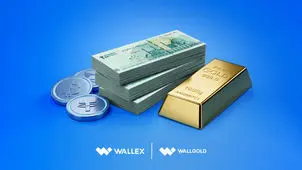 والکس و وال‌گلد مجموعا ۲۰۰ میلیون تومان اعتبار فوری می‌دهند