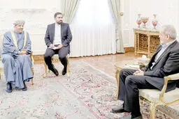 معمای میانجیگری