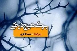 وفاداری به جنوب

