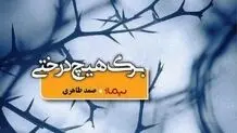 وفاداری به جنوب

