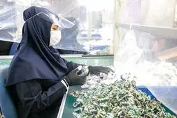 زنانی بدون اثر انگشت