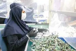 زنانی بدون اثر انگشت