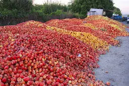 خسارت سنگین دولت  به دریاچه ارومیه