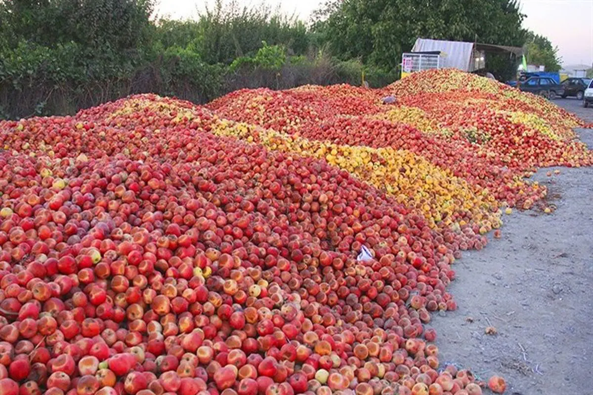 خسارت سنگین دولت  به دریاچه ارومیه