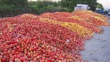 خسارت سنگین دولت  به دریاچه ارومیه