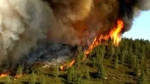 شش روز آتش سوزی در جنگل‌های ارسباران/ یک بالگرد آمد آن هم خراب بود 